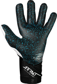 Reusch Attrakt Freegel Fusion Goaliator