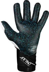 Reusch Attrakt Freegel Fusion Goaliator