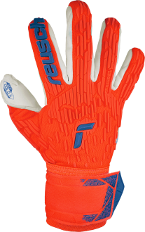 Reusch Attrakt Freegel Gold X
