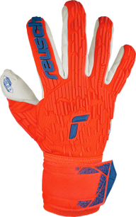 Reusch Attrakt Freegel Gold X
