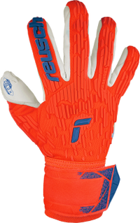 Reusch Attrakt Freegel Gold X