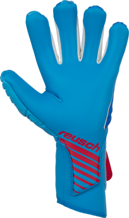 Reusch Fit Control Pro AX2 Evolution NC