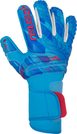 Reusch Fit Control Pro AX2 Evolution NC